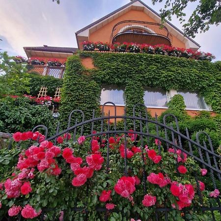 Villa Victoria Łeba Esterno foto