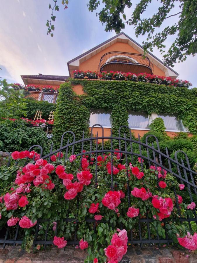 Villa Victoria Łeba Esterno foto