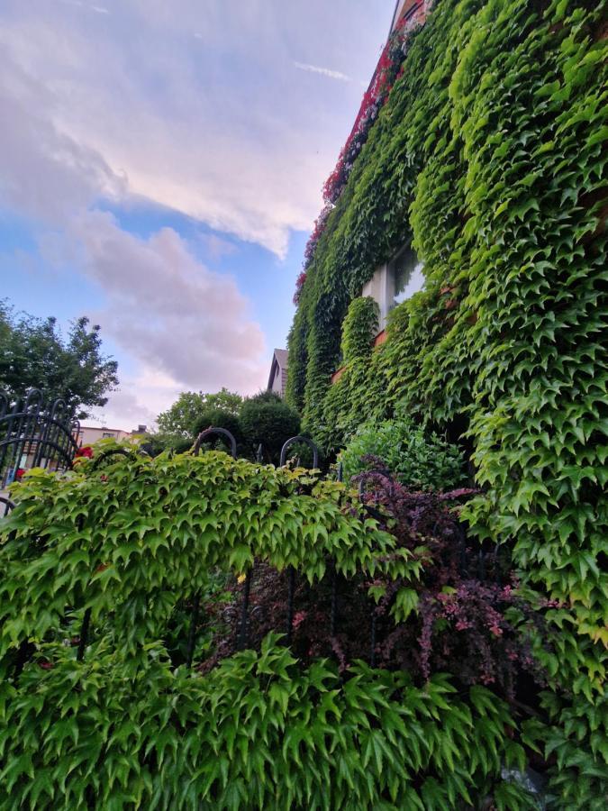 Villa Victoria Łeba Esterno foto