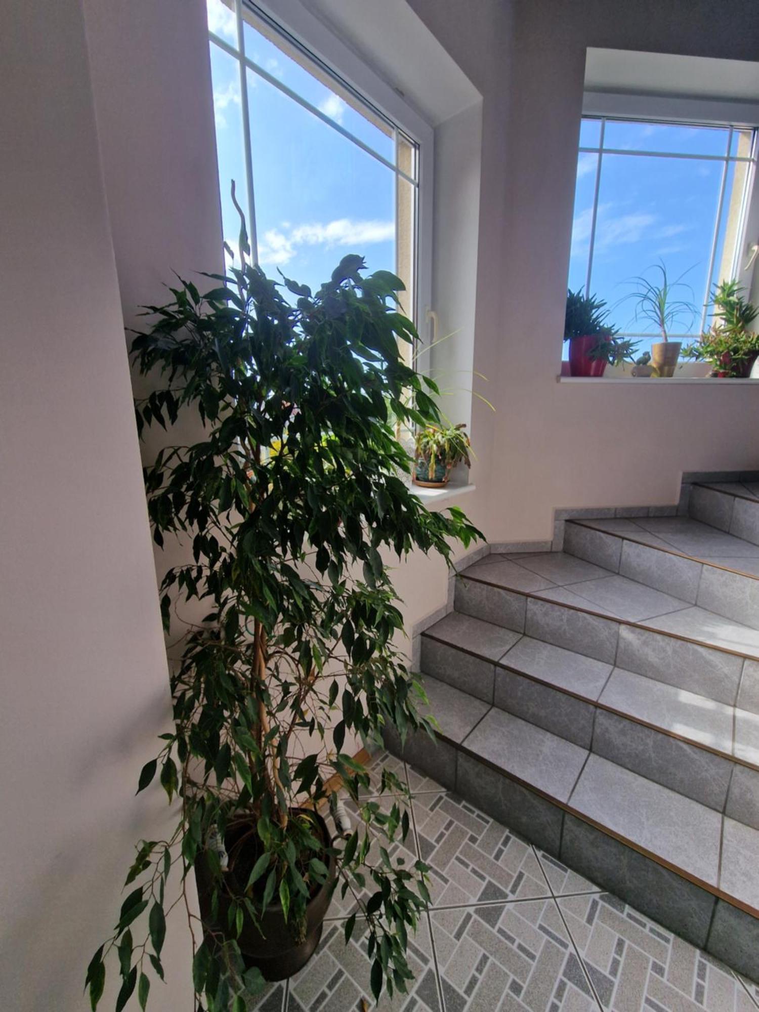 Villa Victoria Łeba Esterno foto